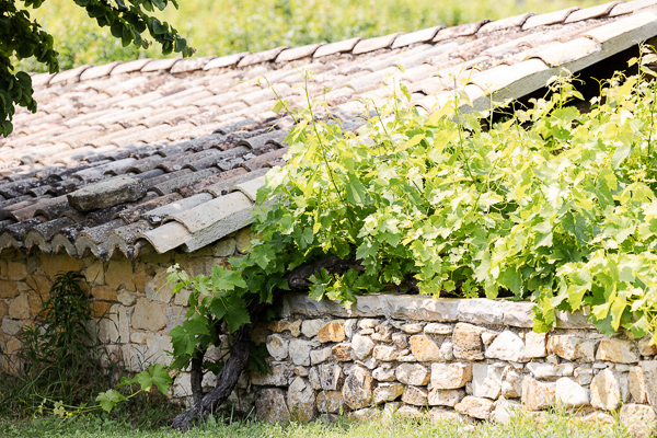 Photo d'illustration de mariage au Domaine de la Verrière Chêne Bleu