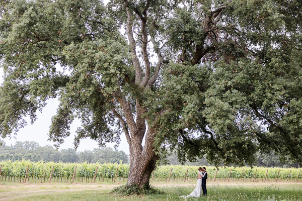 Vignoble du Domaine du Bourrian pour les mariages