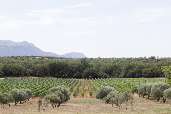 Photo du paysage pour un mariage devant le Mas de la Marotte