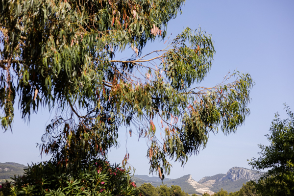 Paysage du Domaine Bunan à La Cadière d'Azur avec vue sur le massif de la Sainte-Baume, cadre pour un mariage dans le Var.